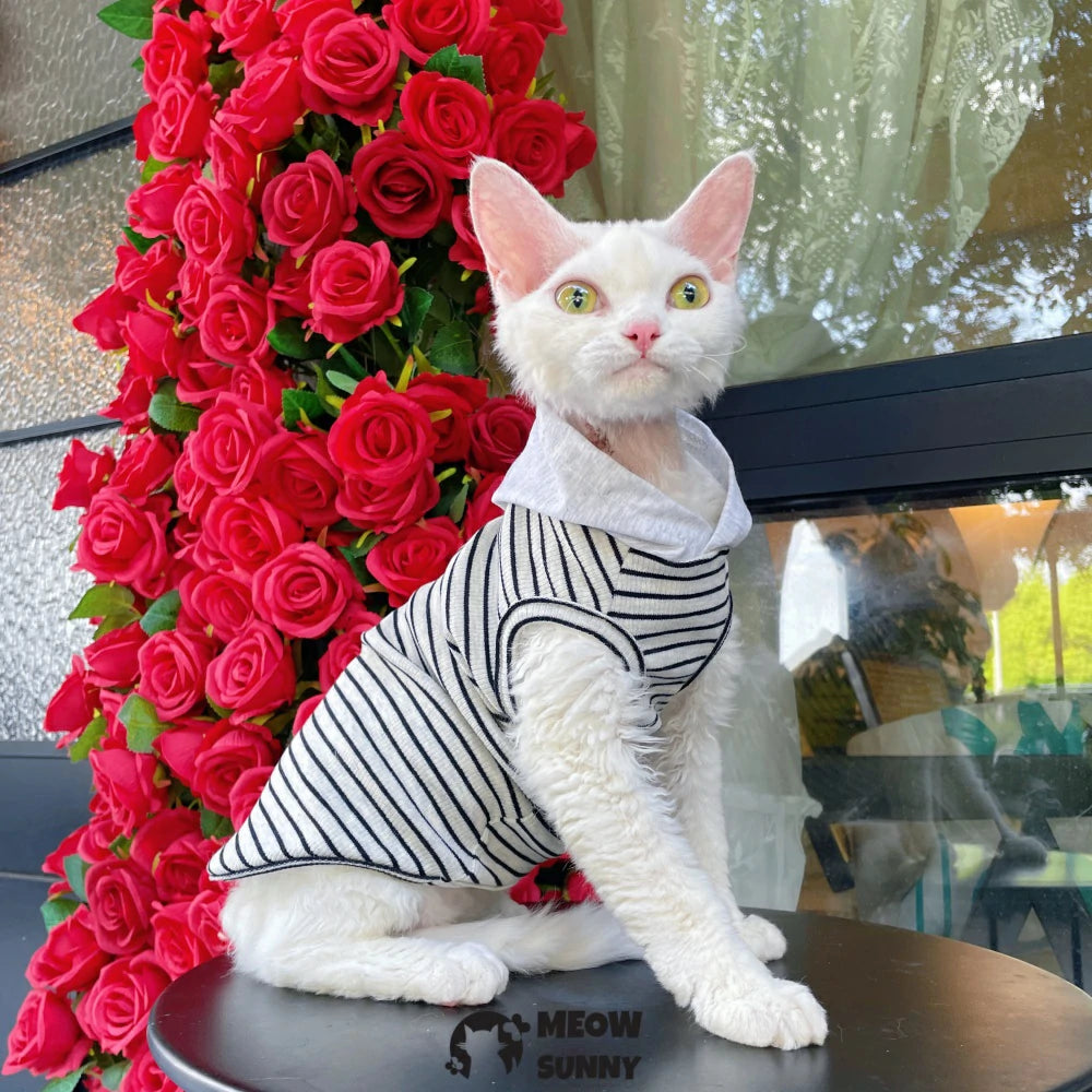 Sphynx Hairless Cat Summer Lightweight Cool Striped Hoodie