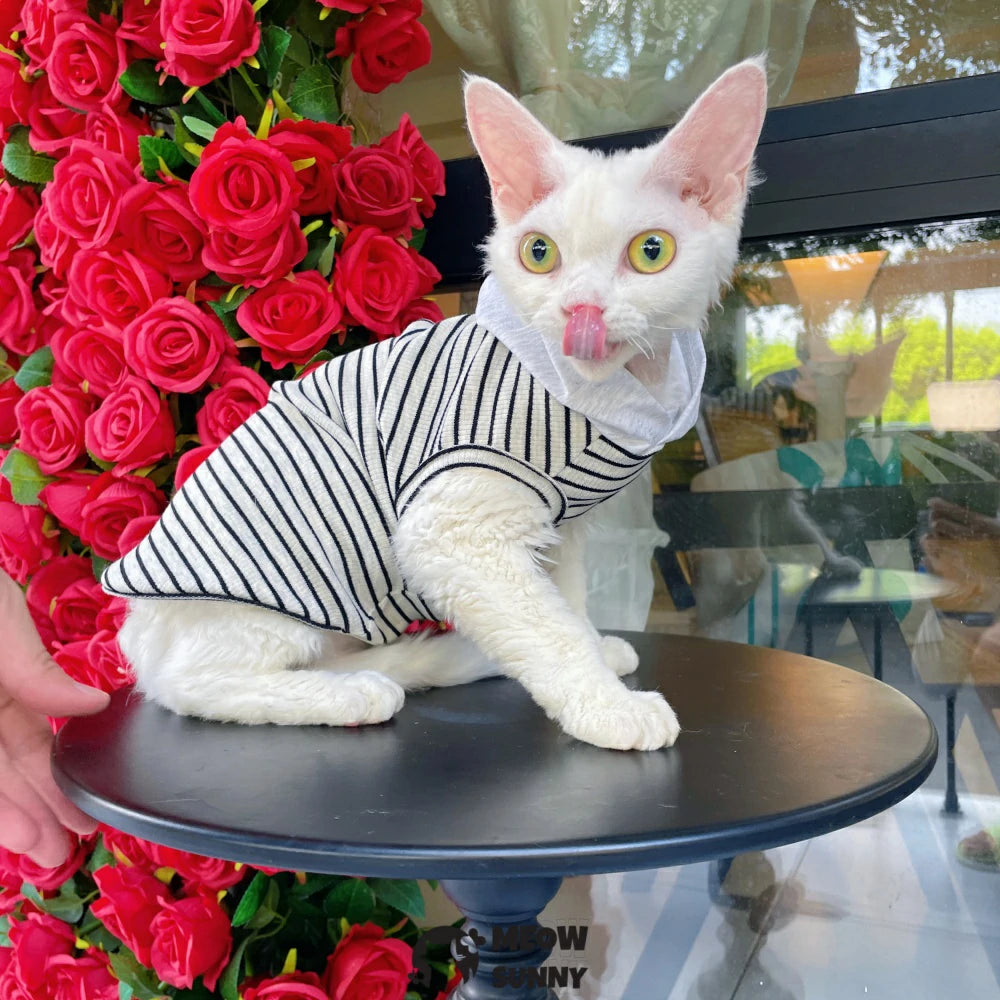 Sphynx Hairless Cat Summer Lightweight Cool Striped Hoodie