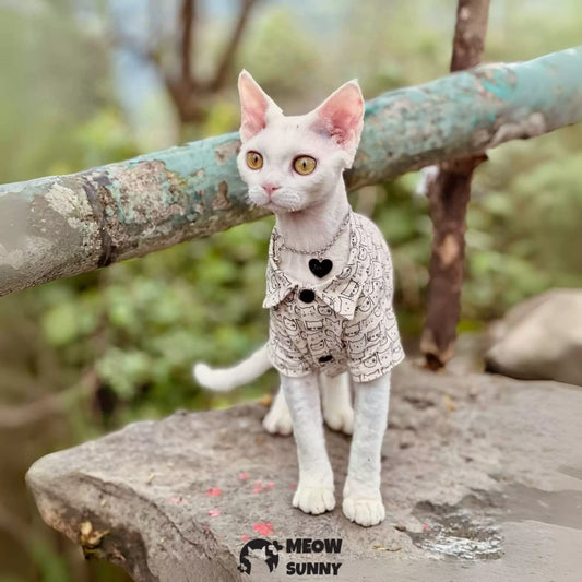 Sphynx Hairless Cat Summer Shirt with Cartoon Cat Pattern