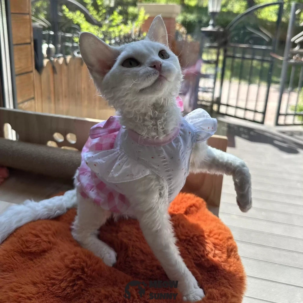 Sphynx Hairless Cat Summer Yellow Pink Plaid Super Soft Dress