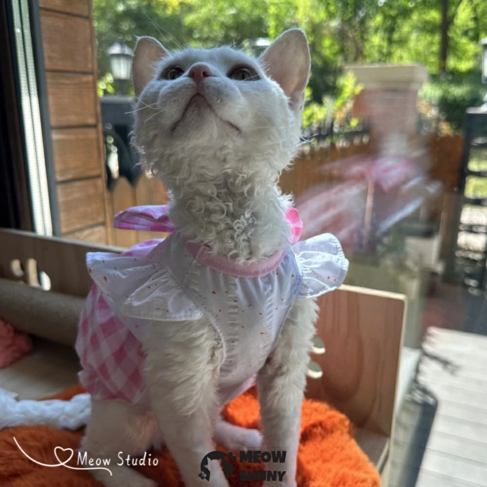Sphynx Hairless Cat Summer Yellow Pink Plaid Super Soft Dress