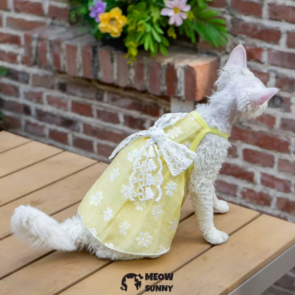 Sphynx Hairless Cat Vest Cute Breathable lace Yellow Dress