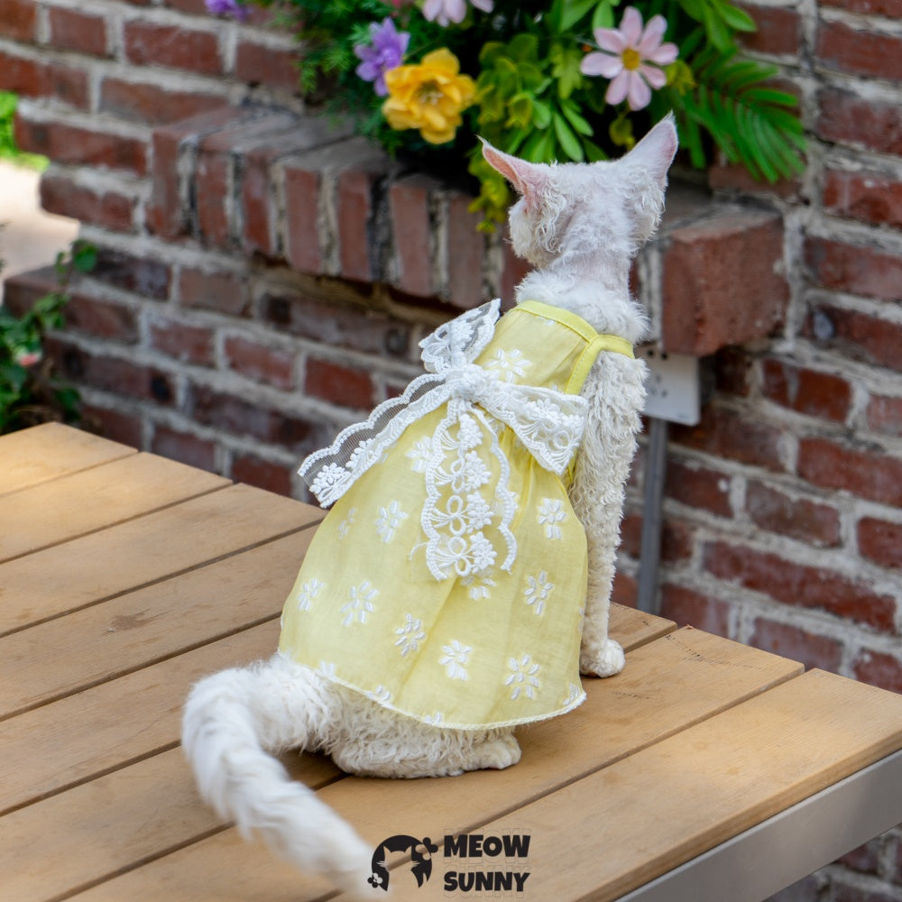 Sphynx Hairless Cat Vest Cute Breathable lace Yellow Dress
