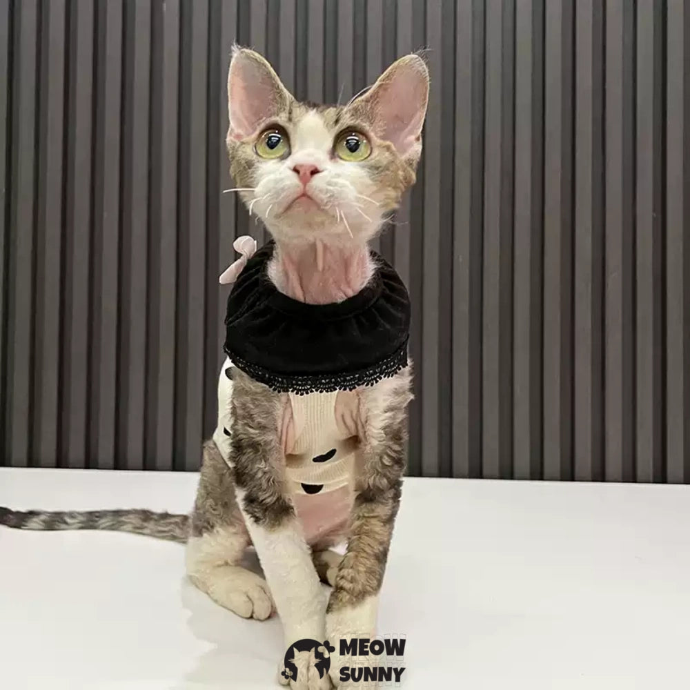 Sphynx Sleeveless Bodysuit Elastic Hairless Cat Black Clothes