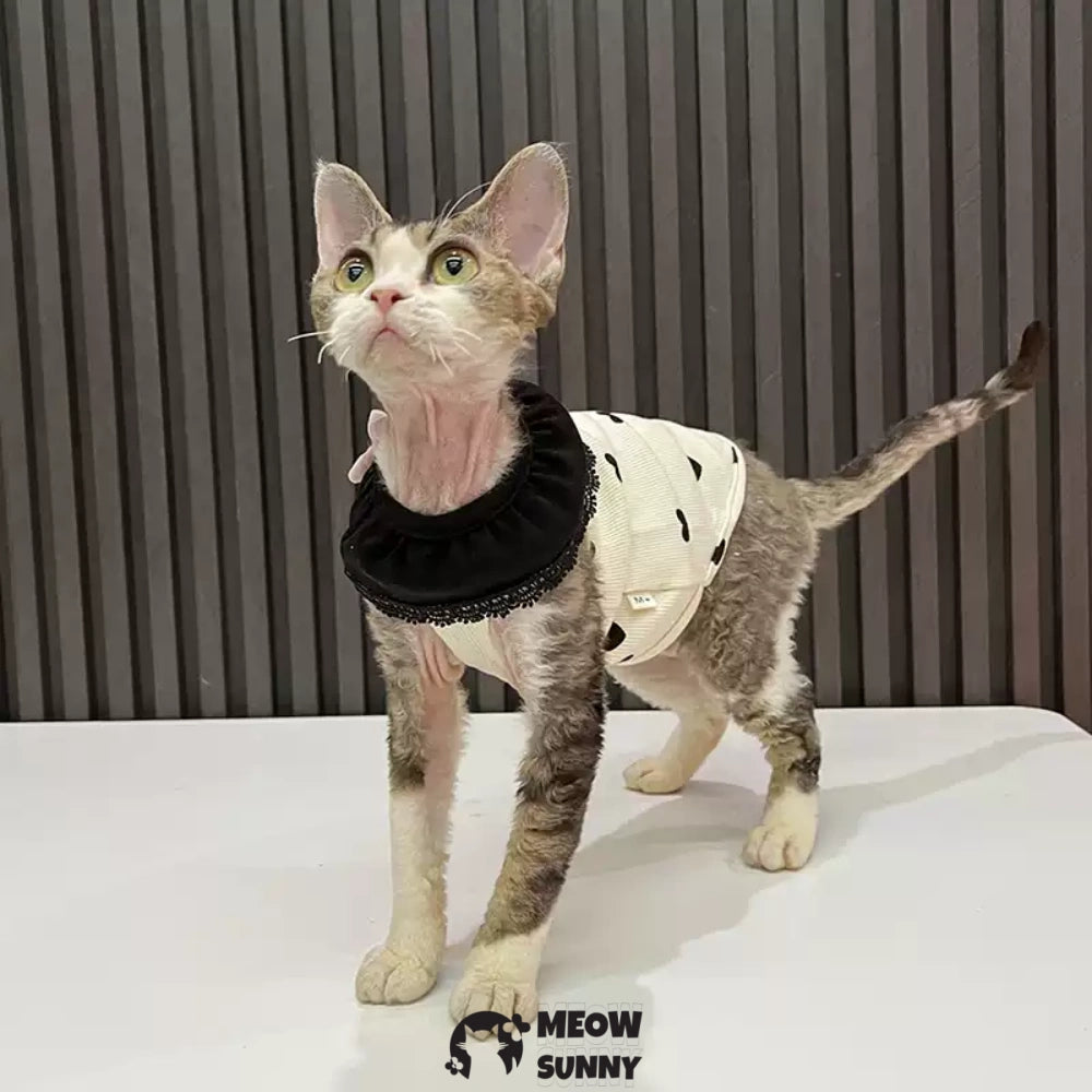 Sphynx Sleeveless Bodysuit Elastic Hairless Cat Black Clothes