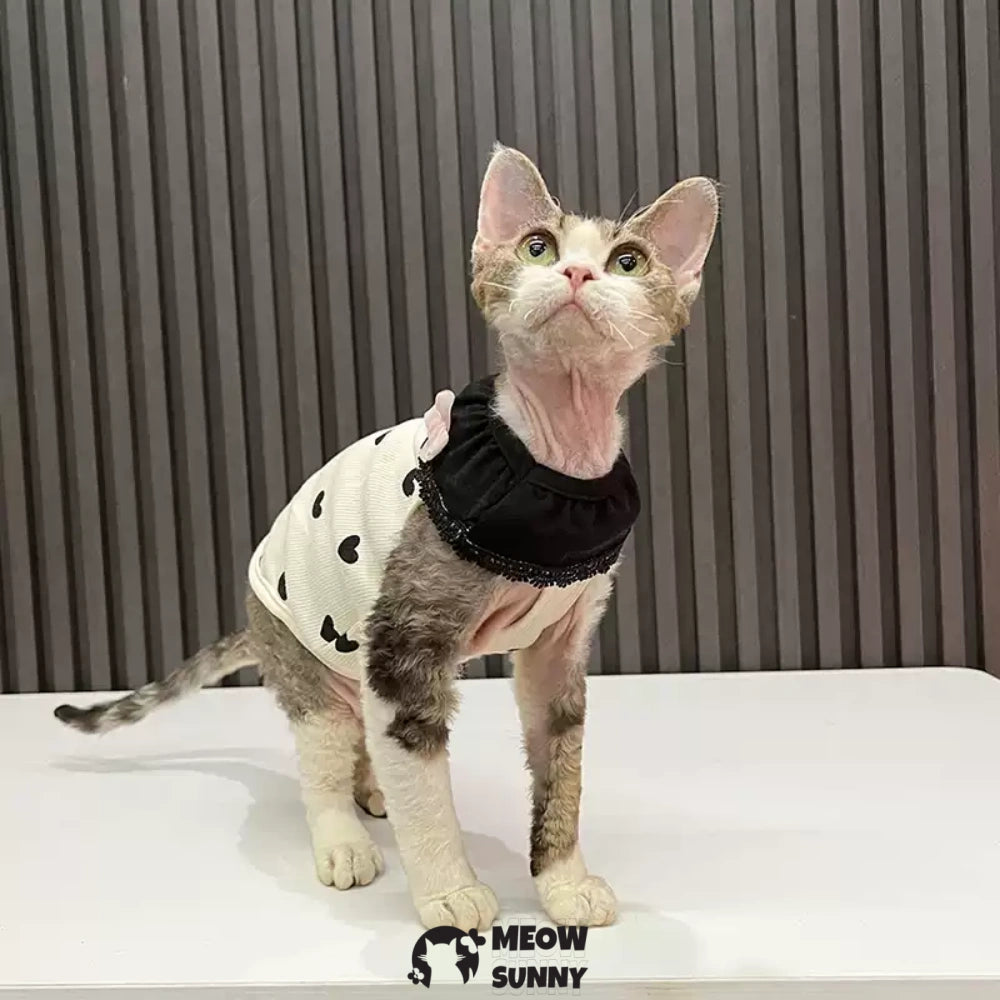 Sphynx Sleeveless Bodysuit Elastic Hairless Cat Black Clothes
