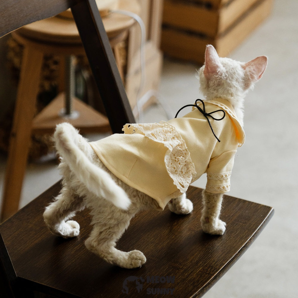 Sphynx Sleeveless Bodysuit Elastic Hairless Cat Yellow Clothes