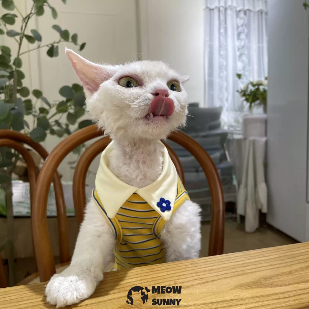 Sphynx Sleeveless Bodysuit Elastic Hairless Cat Yellow Clothes