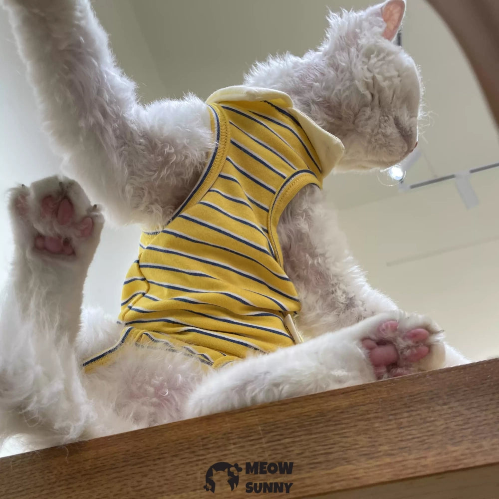 Sphynx Sleeveless Bodysuit Elastic Hairless Cat Yellow Clothes