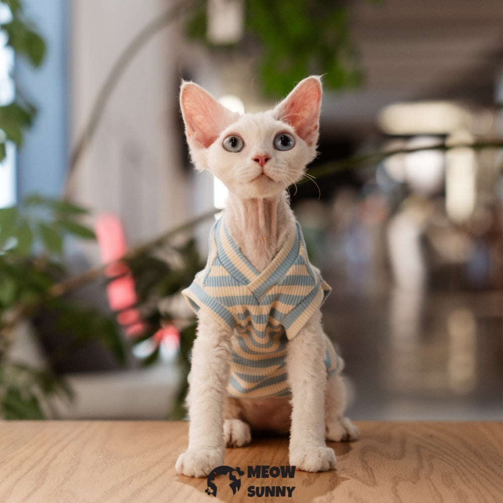 Sphynx hairless cat V-neck summer cotton Blue T-shirt XS-XXL 1-14Lbs