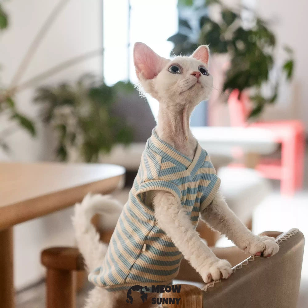 Sphynx hairless cat V-neck summer cotton Blue T-shirt XS-XXL 1-14Lbs
