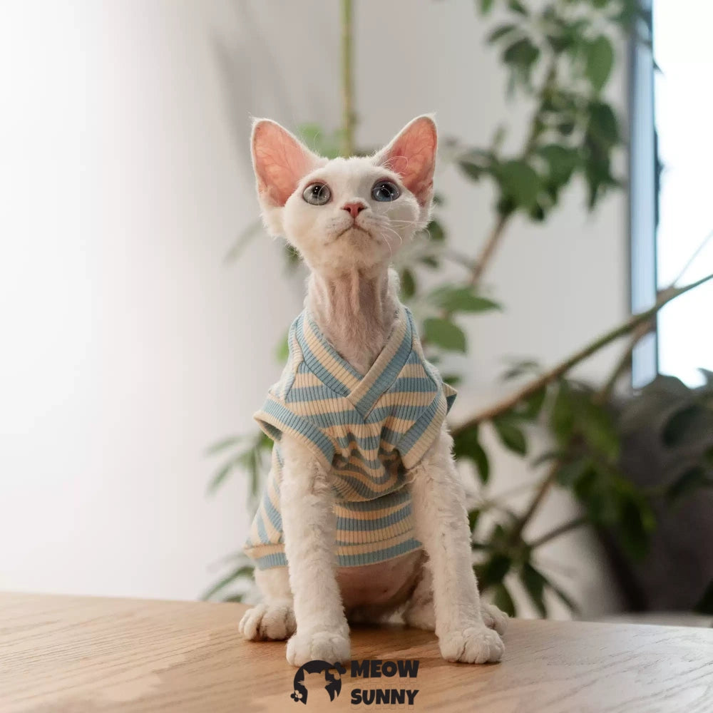 Sphynx hairless cat V-neck summer cotton Blue T-shirt XS-XXL 1-14Lbs