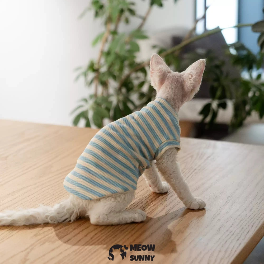 Sphynx hairless cat V-neck summer cotton Blue T-shirt XS-XXL 1-14Lbs