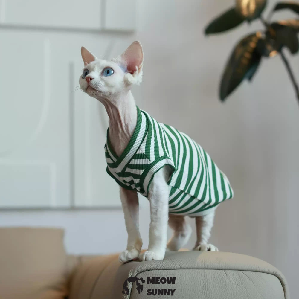 Sphynx hairless cat V-neck summer cotton Green T-shirt XS-XXL 1-14Lbs