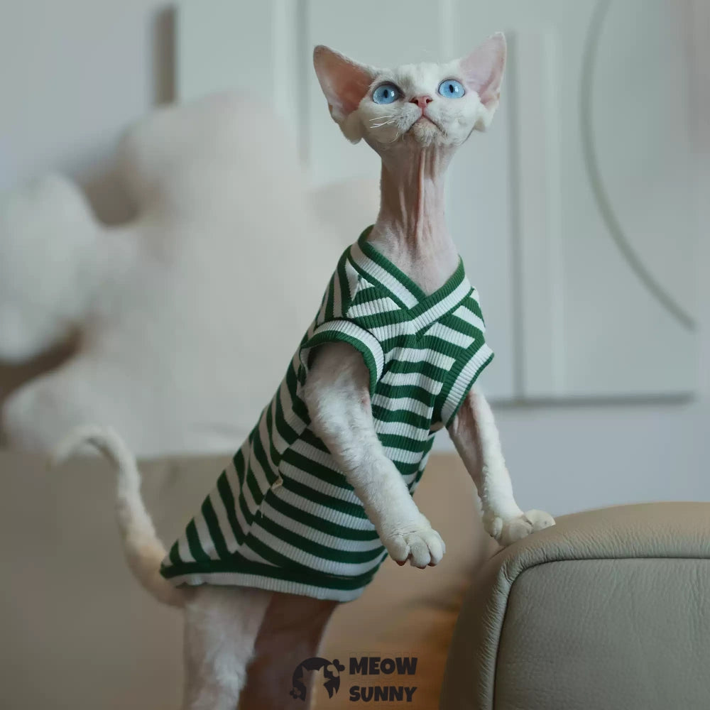 Sphynx hairless cat V-neck summer cotton Green T-shirt XS-XXL 1-14Lbs