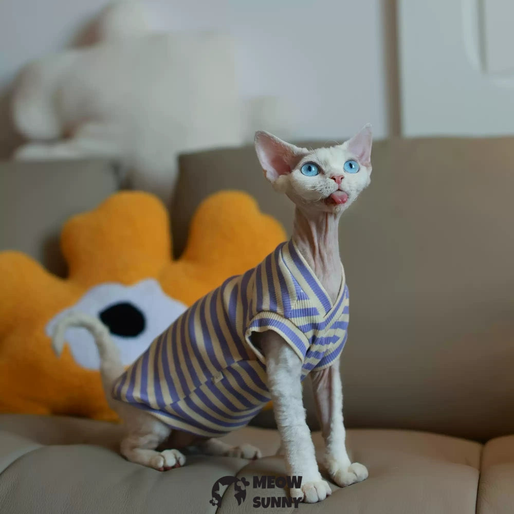 Sphynx hairless cat V-neck summer cotton purple T-shirt XS-XXL 1-14Lbs
