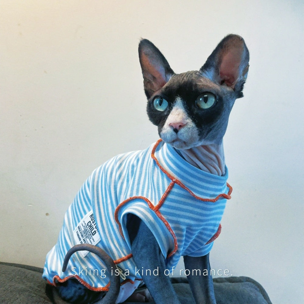 Sphynx hairless cat shirt navy striped kitten sleeve t-shirt for summer