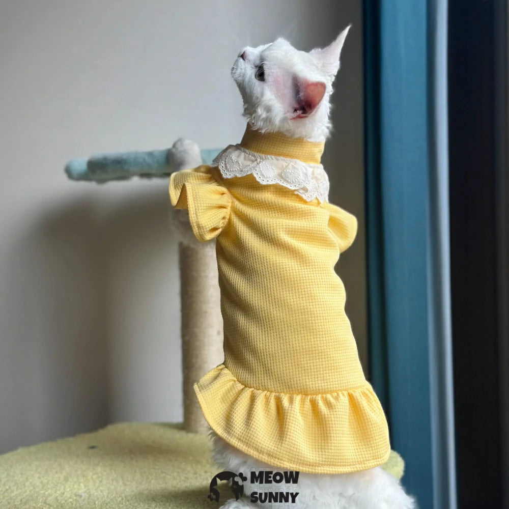 Super Soft Sphynx hairless cat summer yellow fluffy skirt