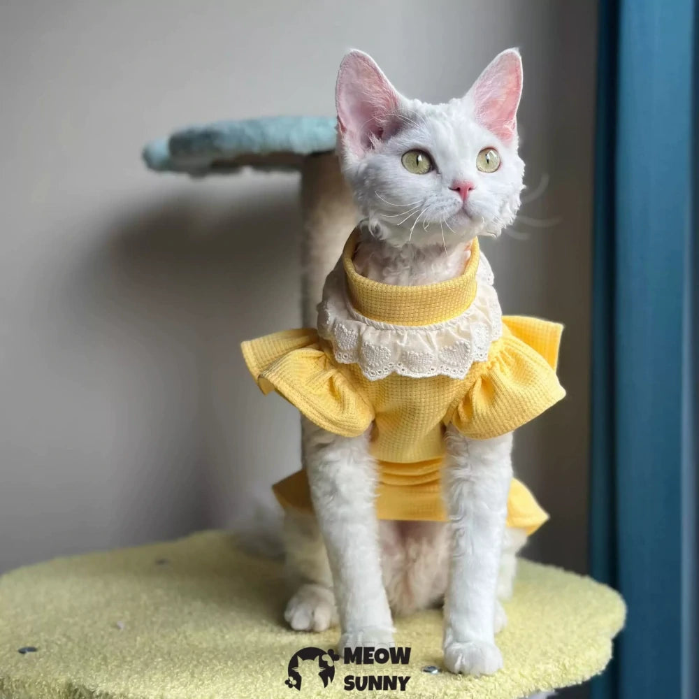 Super Soft Sphynx hairless cat summer yellow fluffy skirt