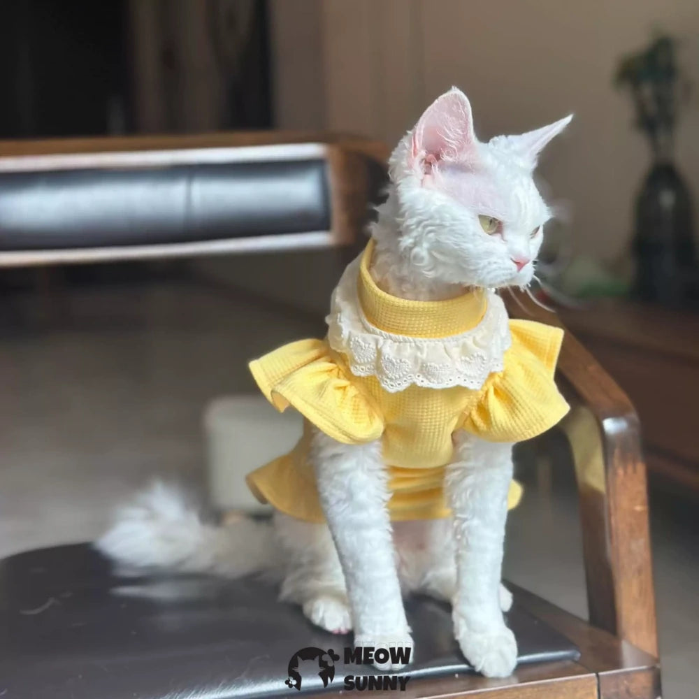 Super Soft Sphynx hairless cat summer yellow fluffy skirt
