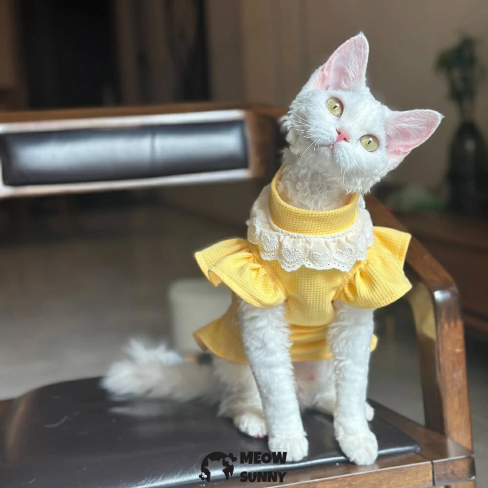 Super Soft Sphynx hairless cat summer yellow fluffy skirt