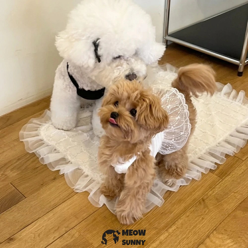 Spring dog lace suspender skirt for Teddy Pomeranian Poodle Bichon