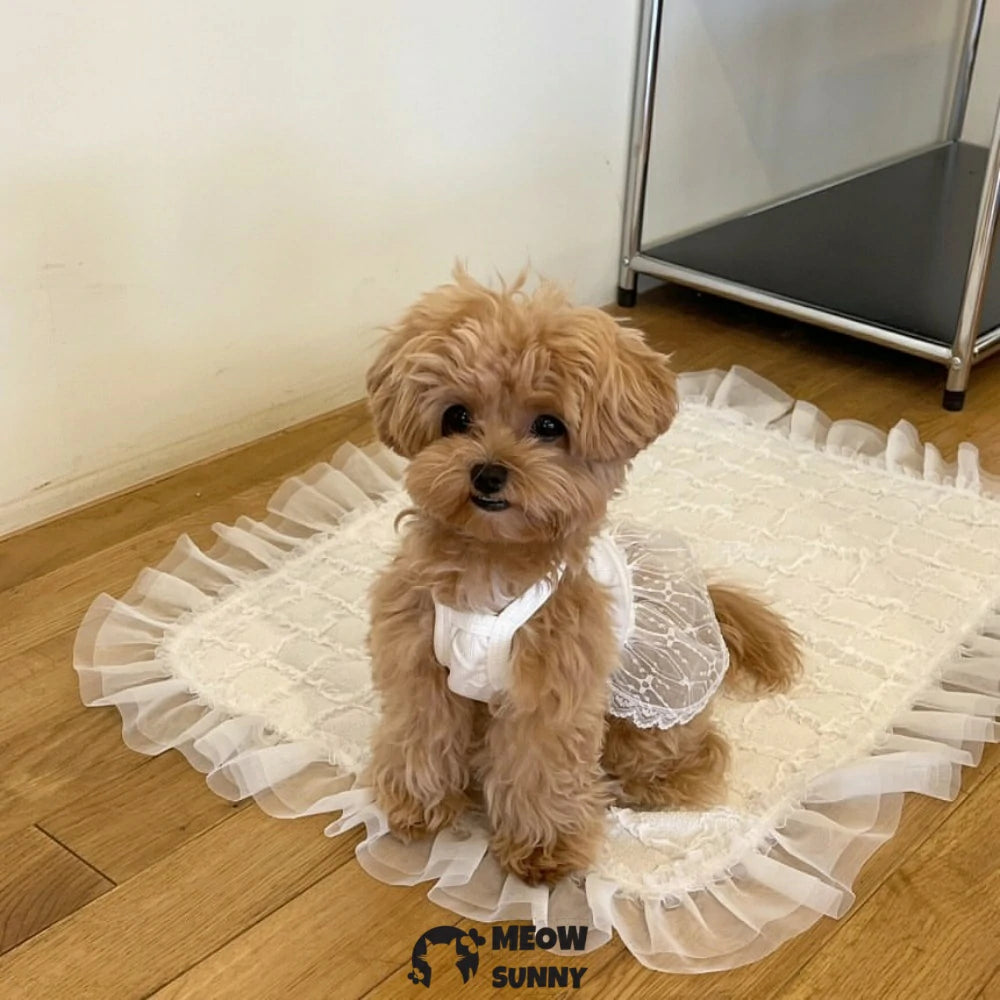 Spring dog lace suspender skirt for Teddy Pomeranian Poodle Bichon