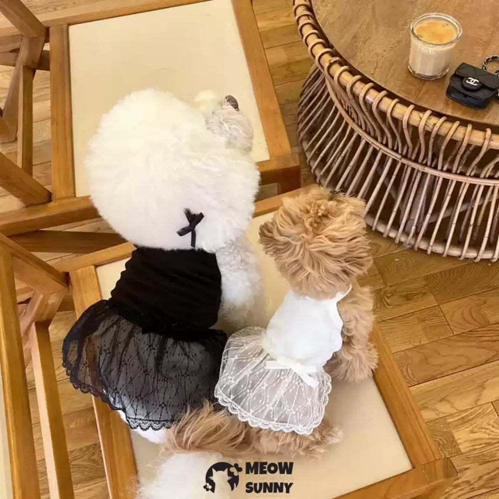 Spring dog lace suspender skirt for Teddy Pomeranian Poodle Bichon