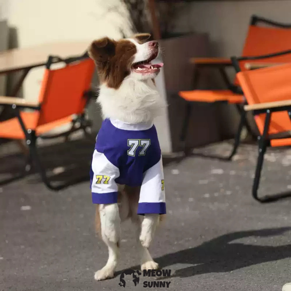Stylish Blue Color Block Dog Shirt: Premium Polycotton Blend