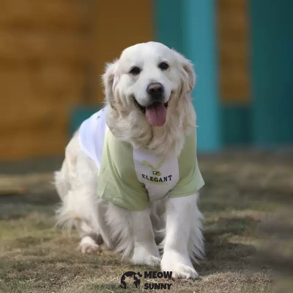 Stylish Green Color Block Dog Shirt Premium Polycotton Blend