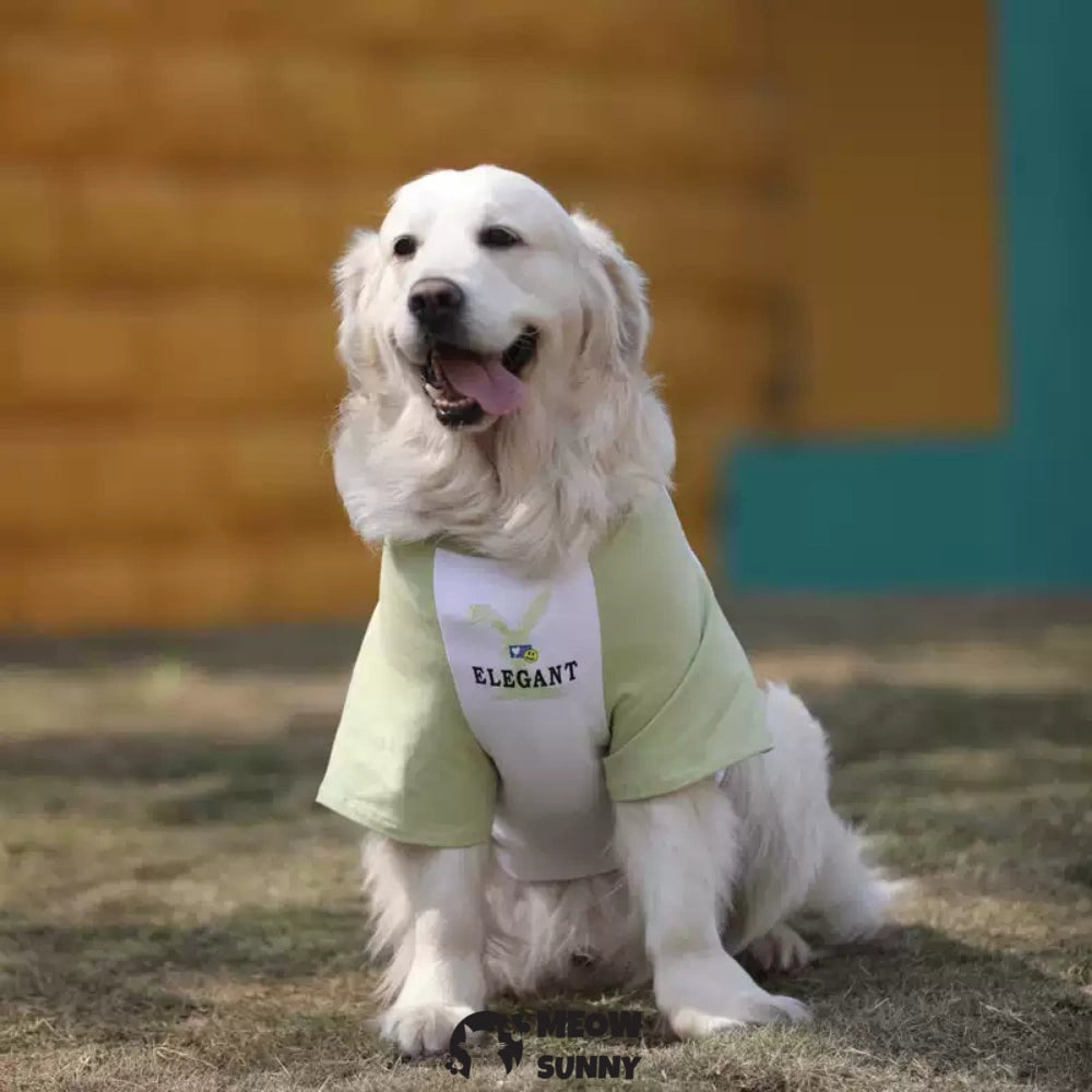 Stylish Green Color Block Dog Shirt Premium Polycotton Blend