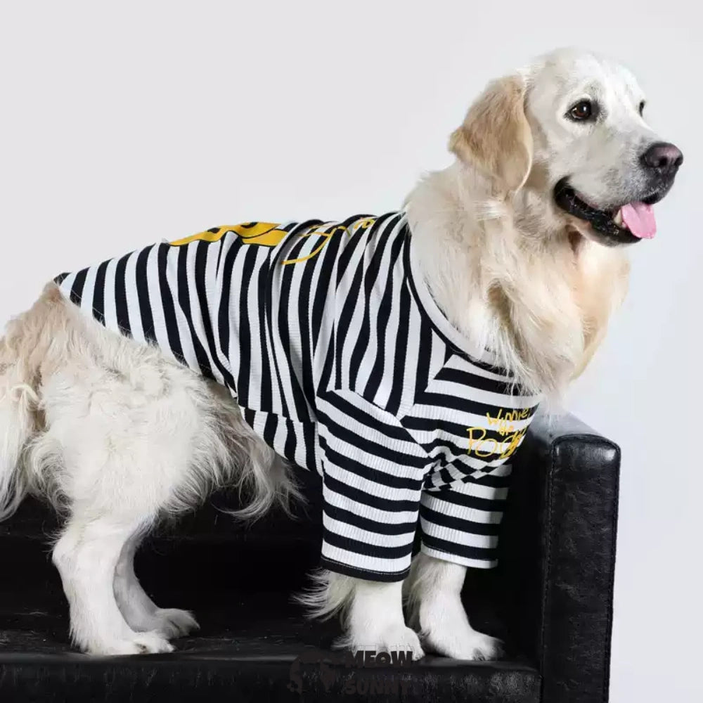 Summer Dog Black White Striped Shirt for Girl Boy