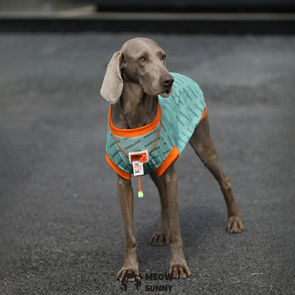 Summer Mesh Dog Vest Lightweight Shirt for Large Dogs