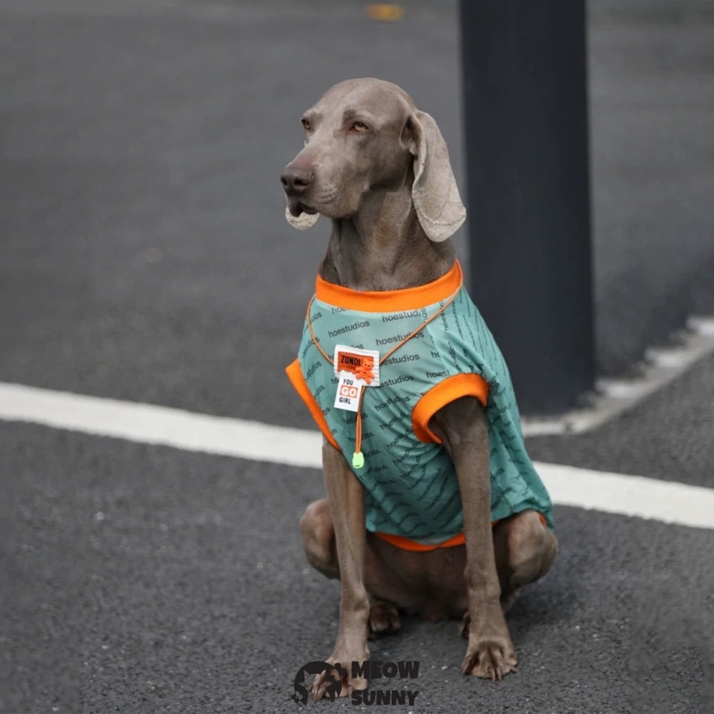 Summer Mesh Dog Vest Lightweight Shirt for Large Dogs
