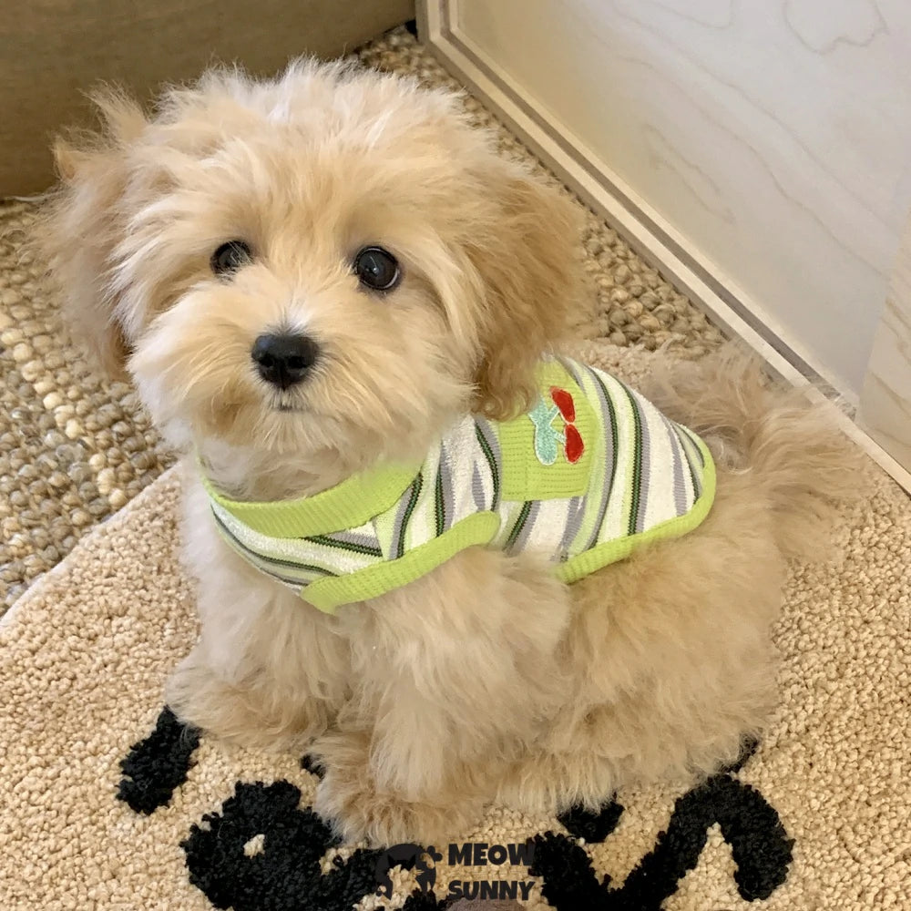 Summer Puppy Clothes Cherry Pattern Colorful Striped Vest