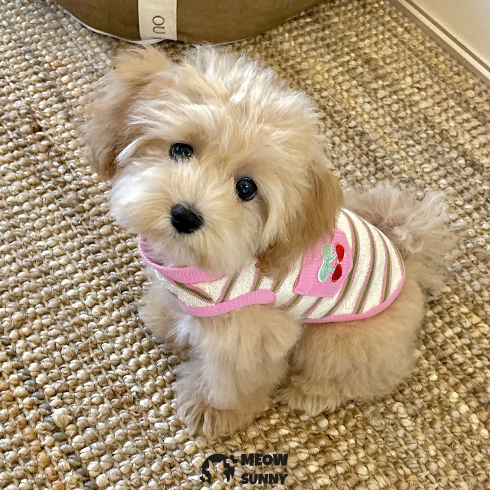 Summer Puppy Clothes Cherry Pattern Colorful Striped Vest