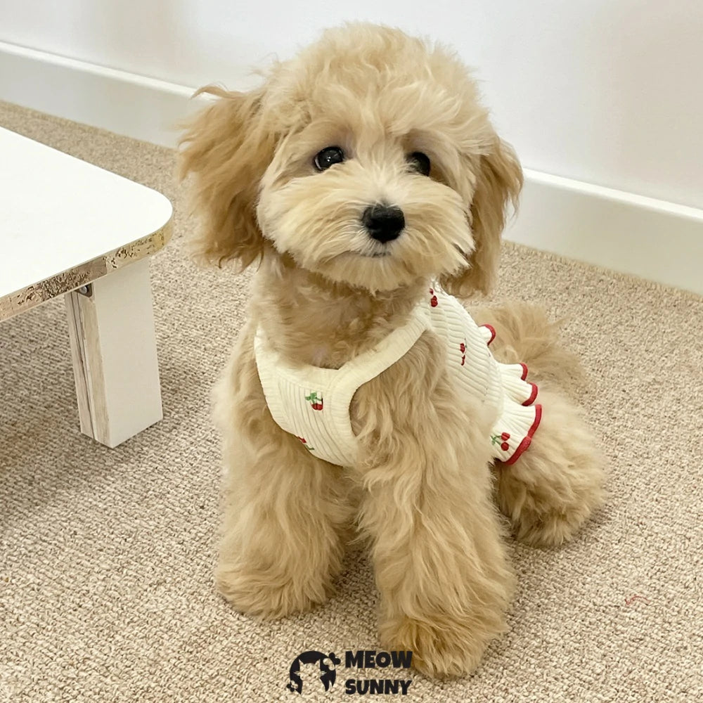Summer Puppy Clothing Cherry Pattern Solid Color Breathable Vest