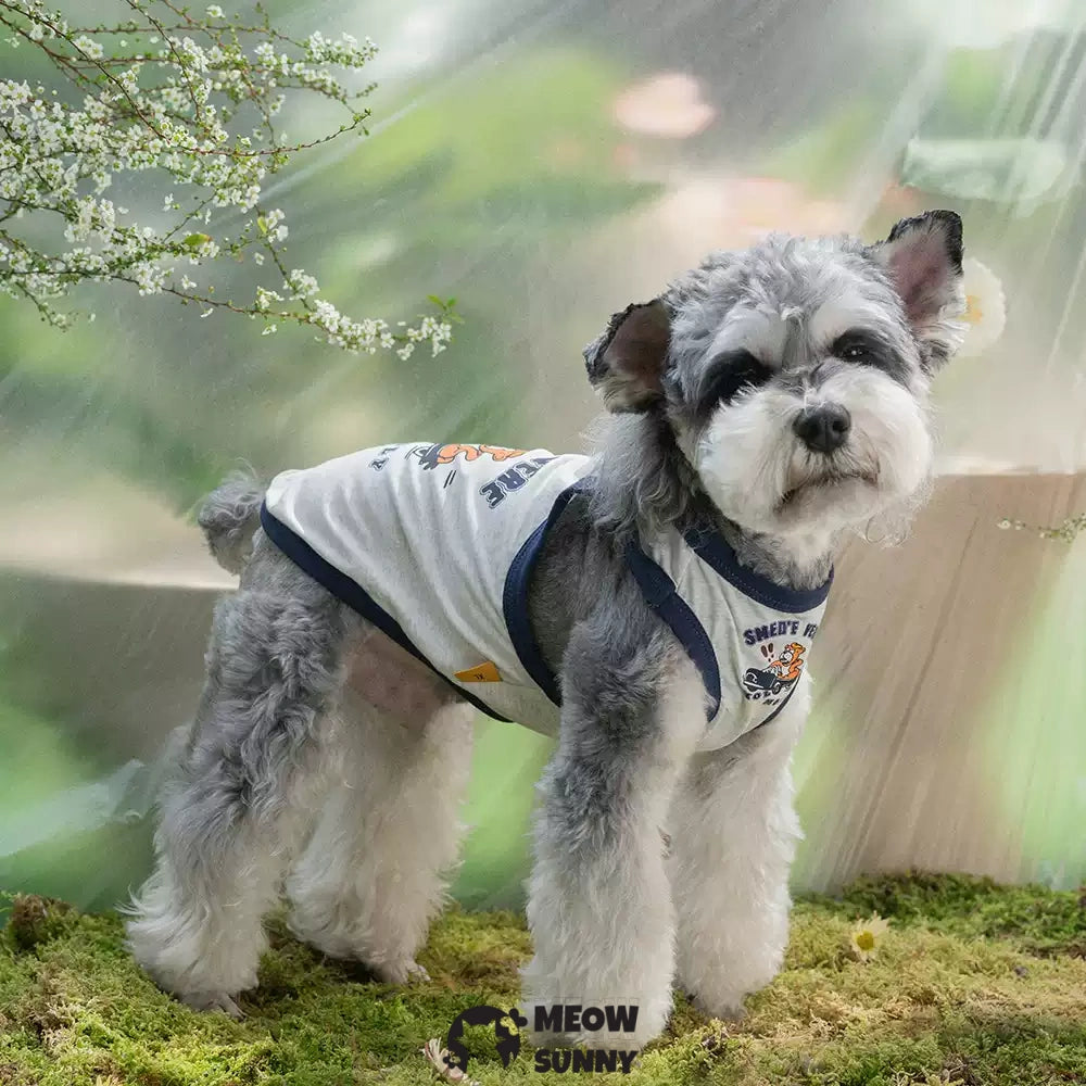 Summer Thin Breathable Cartoon Pattern Puppy Retro Vest
