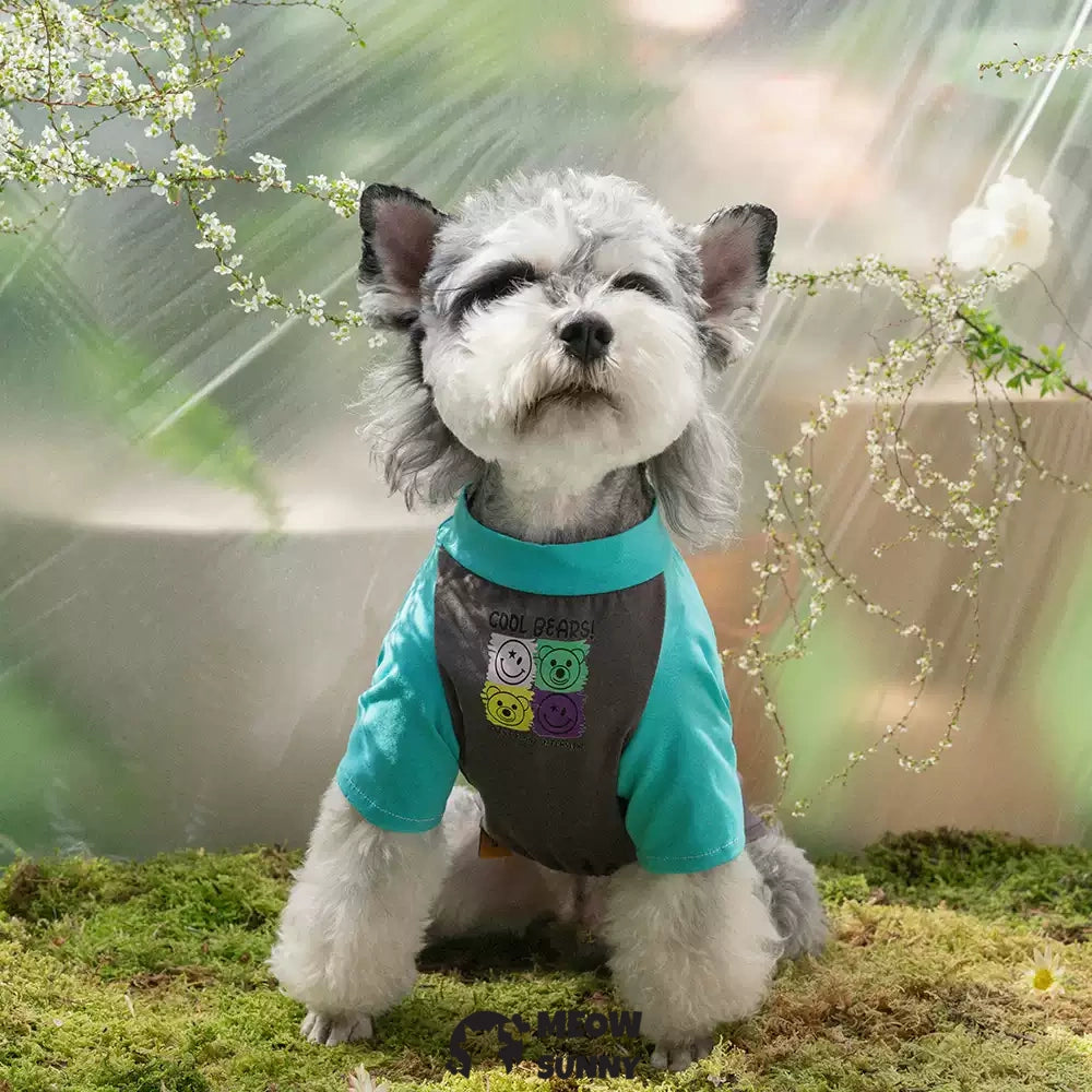 Summer Thin Dog T-shirt with Personalized Trendy Pattern