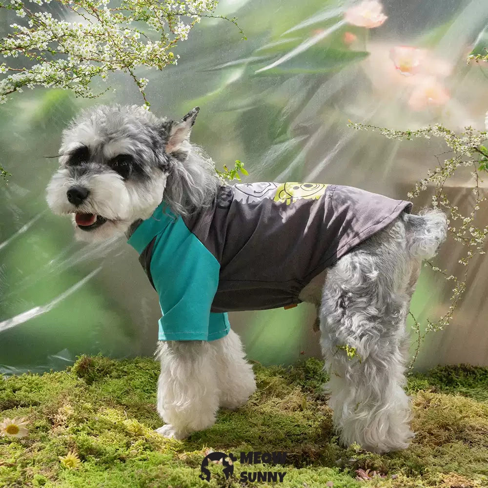 Summer Thin Dog T-shirt with Personalized Trendy Pattern