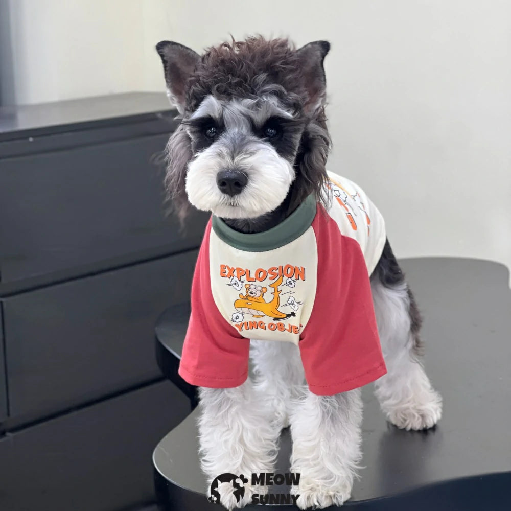 Summer pure cotton cartoon colorblock dog airplane T-shirt