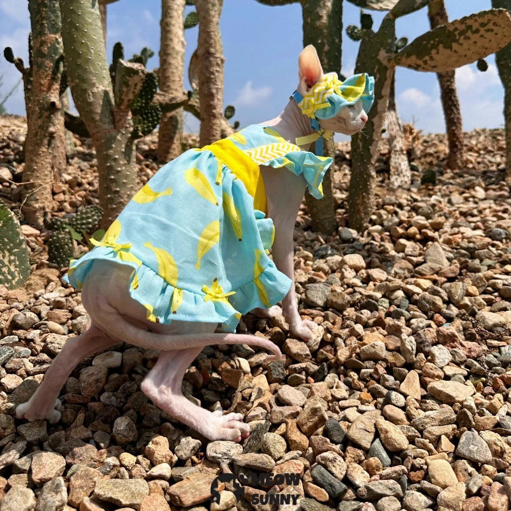 Summer pure cotton hairless cat dress cool and light outdoor sun protection
