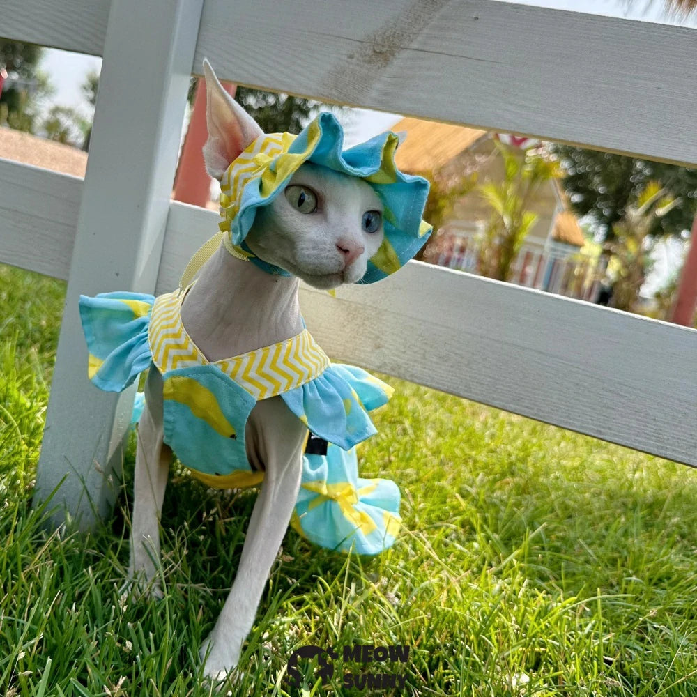Summer pure cotton hairless cat dress cool and light outdoor sun protection