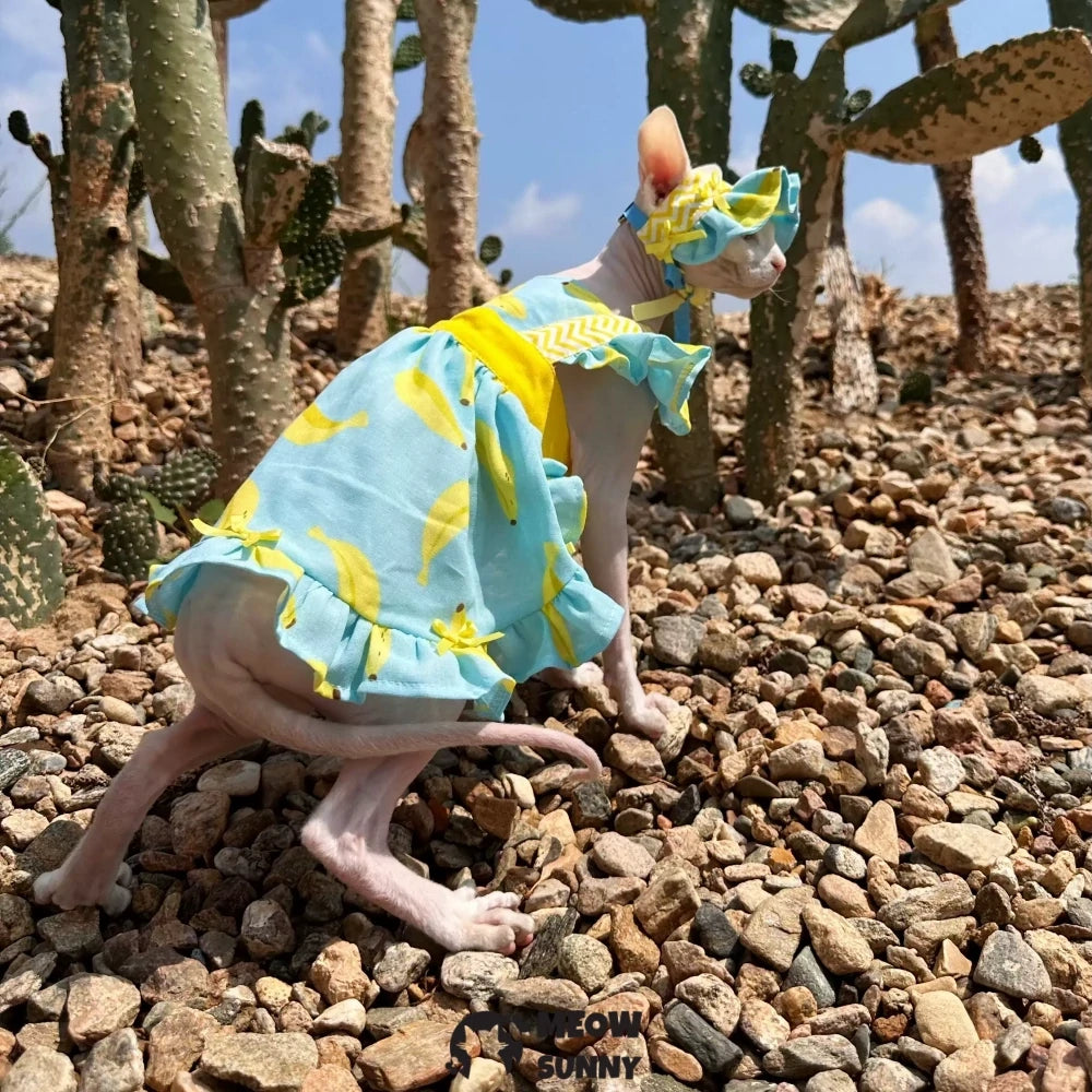 Summer pure cotton hairless cat dress cool and light outdoor sun protection