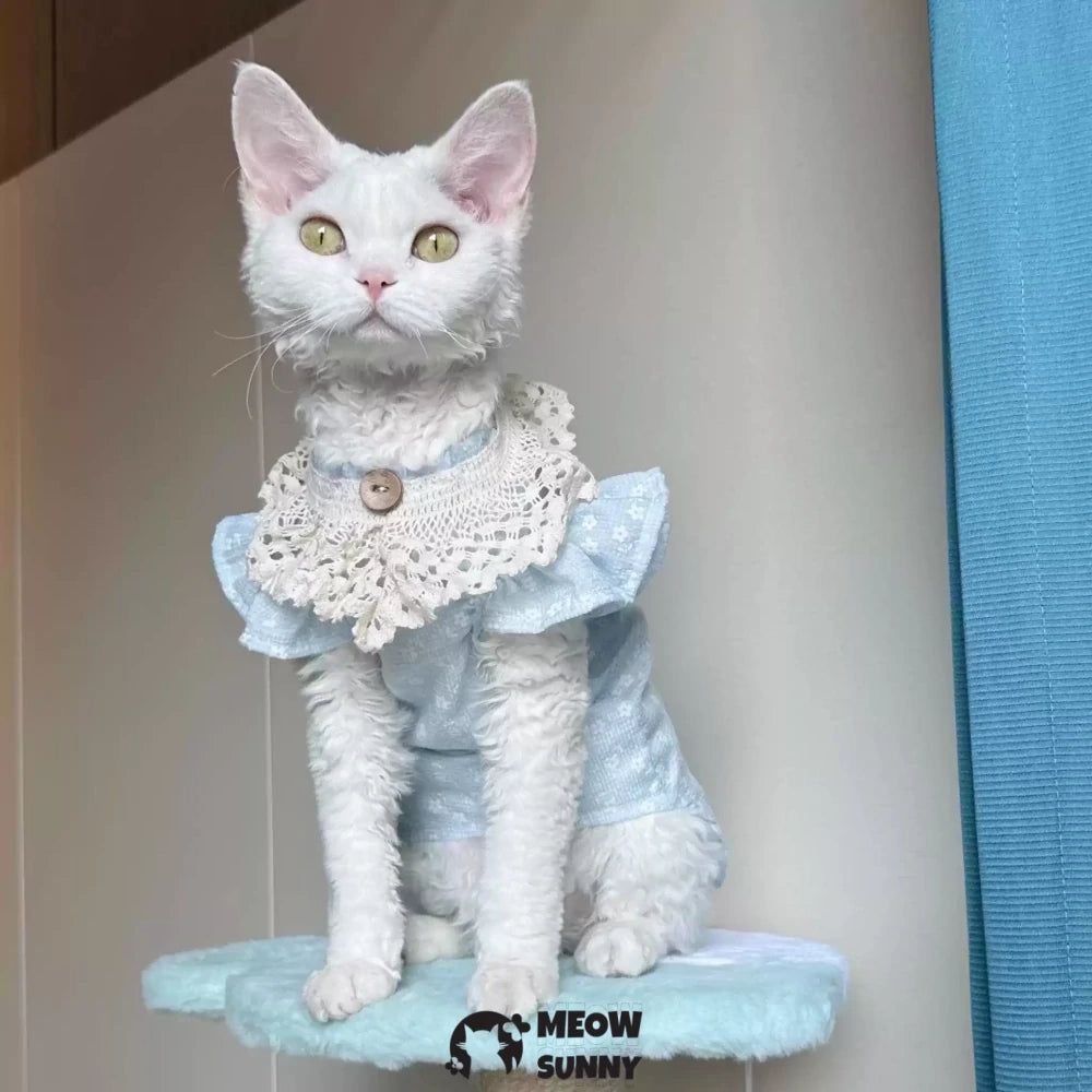 Super Soft Sphynx hairless cat summer Blue fluffy skirt