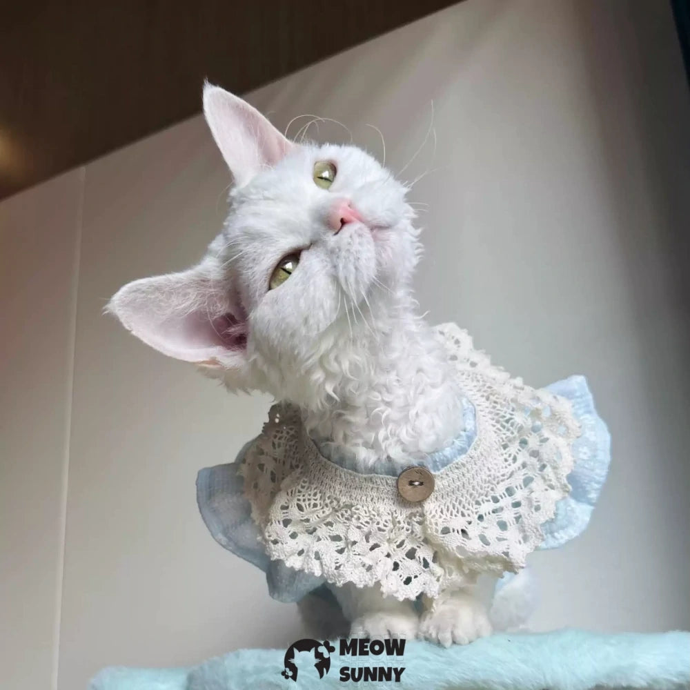 Super Soft Sphynx hairless cat summer Blue fluffy skirt