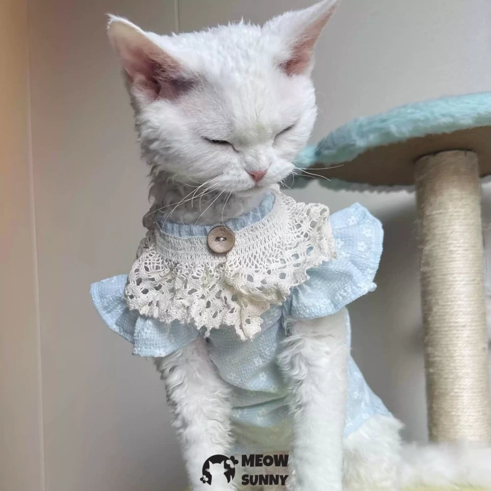 Super Soft Sphynx hairless cat summer Blue fluffy skirt