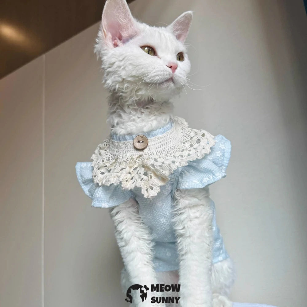 Super Soft Sphynx hairless cat summer Blue fluffy skirt