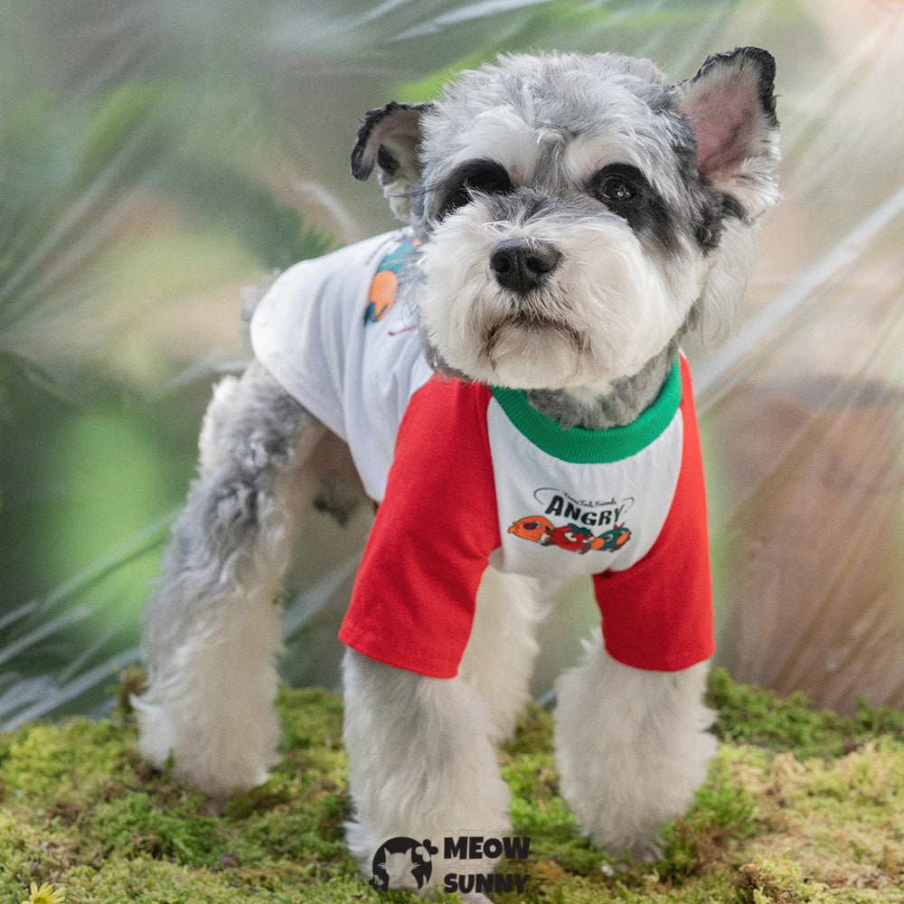 TOmaTO Friends Summer Thin Dog Comfortable Fashion T-shirt
