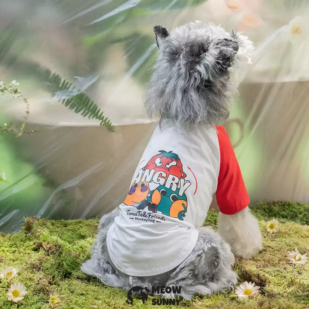 TOmaTO Friends Summer Thin Dog Comfortable Fashion T-shirt